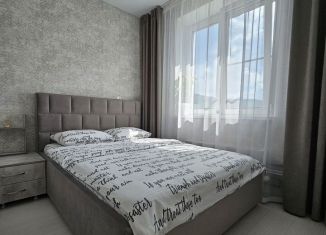 Сдается в аренду 1-комнатная квартира, 28 м2, Миасс, бульвар Карпова, 9