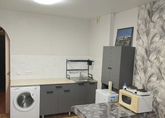 Аренда квартиры студии, 25 м2, Удмуртия, улица Героя России Ильфата Закирова, 32