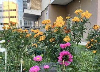 Сдается в аренду двухкомнатная квартира, 70 м2, Пермь, улица Карпинского, 108