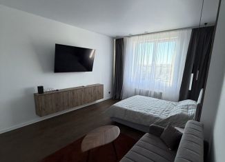 Однокомнатная квартира в аренду, 47 м2, Ставрополь, улица Ленина, 423/1