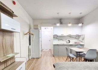 Сдача в аренду квартиры студии, 19 м2, Москва, Люблинская улица, 72Ак2, ЖК Люблинский Парк