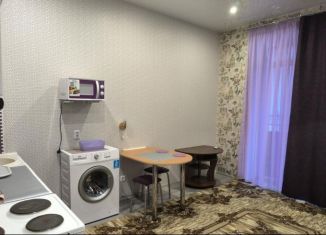 Сдаю в аренду квартиру студию, 25 м2, Новосибирск, 2-я Обская улица, 154, Октябрьский район