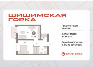 Продам 1-комнатную квартиру, 42.9 м2, Екатеринбург, Чкаловский район, Каслинский переулок, 3