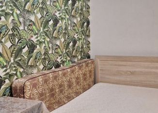 Аренда 2-ком. квартиры, 52 м2, Набережные Челны, улица Шамиля Усманова, 61