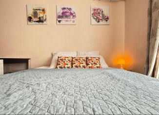 Сдача в аренду квартиры студии, 33 м2, Ростов-на-Дону, улица Ткачёва, 14, ЖК Итальянский Квартал