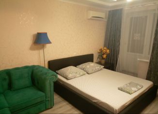 Сдам в аренду 1-комнатную квартиру, 45 м2, Ростов-на-Дону, проспект Ленина, 245/5, ЖК Ленинские Горки