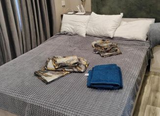 Сдается в аренду 2-ком. квартира, 55 м2, Новочеркасск, переулок Галины Петровой, 23