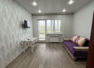 Сдача в аренду 1-комнатной квартиры, 35.5 м2, село Засечное, Центральная улица