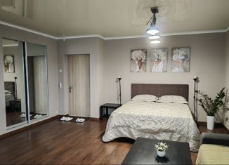 1-комнатная квартира в аренду, 45 м2, Орловская область, улица Алроса, 3