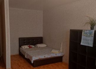 Сдам в аренду однокомнатную квартиру, 38.9 м2, Екатеринбург, улица Челюскинцев, 19