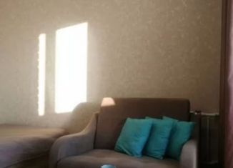 Сдается в аренду 1-комнатная квартира, 38 м2, Благовещенск, Амурская улица, 55/3