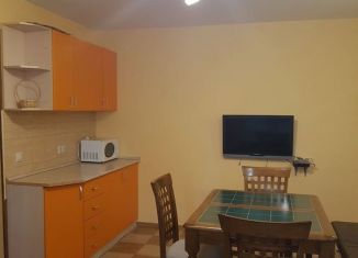 Сдается в аренду однокомнатная квартира, 48 м2, Саратов, улица имени Е.Ф. Григорьева, 23/27