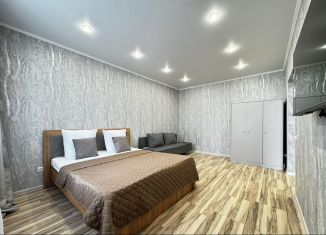 Сдаю однокомнатную квартиру, 43 м2, Оренбургская область, улица Фронтовиков, 8/3