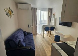 Квартира в аренду студия, 18 м2, Сочи, Ясногорская улица, 16/6к4