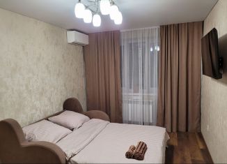 1-комнатная квартира в аренду, 33 м2, Тамбовская область, улица Радищева, 35