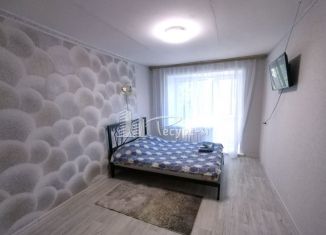 Сдаю в аренду 1-комнатную квартиру, 30 м2, Выкса, микрорайон Гоголя, 22