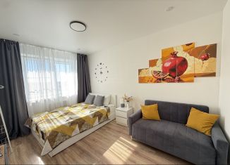 Сдаю однокомнатную квартиру, 34.1 м2, Новгородская область, улица Профессора Сороки, 13