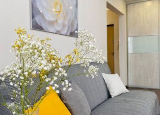 Сдается однокомнатная квартира, 36 м2, Республика Башкортостан, улица Менделеева, 162