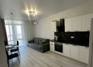 Двухкомнатная квартира в аренду, 60 м2, Краснодарский край, микрорайон Любимово, 5