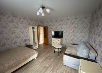 Сдается 1-комнатная квартира, 37 м2, Воронеж, переулок Минина, 2А