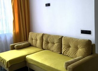 Сдаю 1-ком. квартиру, 40 м2, Ростов-на-Дону, улица Мечникова, 110с1, ЖК Династия