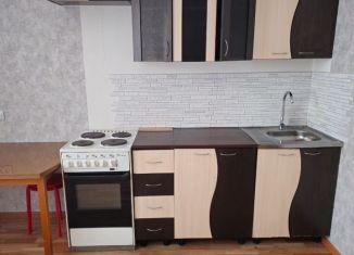 Сдаю однокомнатную квартиру, 38 м2, Новосибирск, Оловозаводская улица, 15, ЖК Черёмушки