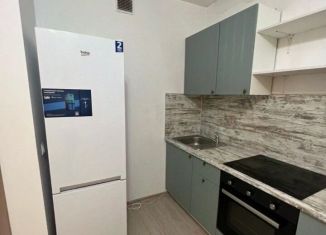 Сдается в аренду 1-ком. квартира, 45 м2, Екатеринбург, улица Татищева, 177