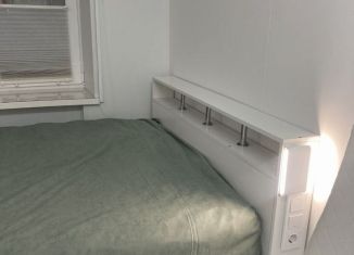 Сдается 1-комнатная квартира, 20 м2, Москва, Центральная улица, 11