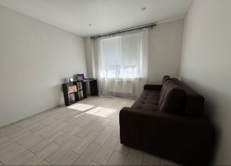 Сдается в аренду квартира студия, 28.1 м2, Мурино, Екатерининская улица, 6к2, ЖК Виктория