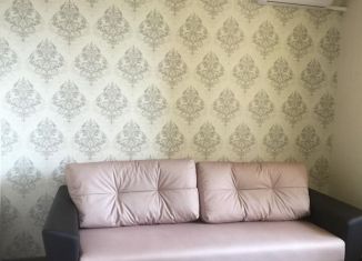 Сдам квартиру студию, 30 м2, Ростов-на-Дону, улица Ткачёва, 16