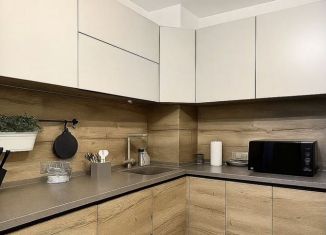 Сдается в аренду 2-ком. квартира, 53 м2, Мурино, Екатерининская улица, 6к1