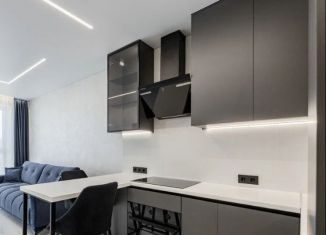 Сдам однокомнатную квартиру, 47 м2, Краснодар, ЖК Центральный, Октябрьская улица, 181/2к1