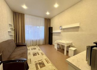 Сдам в аренду квартиру студию, 20 м2, Пенза, улица Лермонтова, 3к2