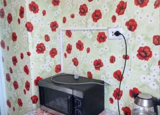 1-ком. квартира в аренду, 22 м2, Новочеркасск, улица Клещёва, 74