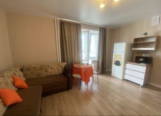 Сдаю квартиру студию, 28 м2, поселок городского типа Стройкерамика, улица Николая Симонова, 19