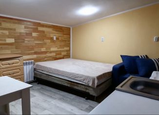 Сдам в аренду квартиру студию, 22 м2, Чита, Парковый переулок, 3