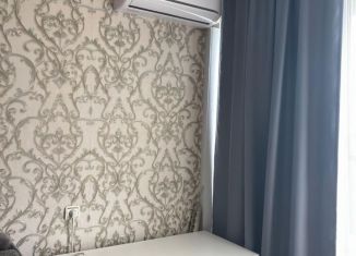 Сдам в аренду однокомнатную квартиру, 31 м2, Кингисепп, улица Жукова, 12А