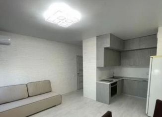 Сдается в аренду квартира студия, 30 м2, Ростов-на-Дону, улица Жмайлова, 19А