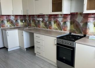 Сдам в аренду 1-комнатную квартиру, 45.2 м2, Владимир, Славная улица, 12