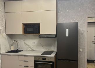 Квартира в аренду студия, 24.4 м2, Новосибирск, микрорайон Закаменский, 16, Октябрьский район