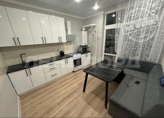 Сдаю 1-комнатную квартиру, 39.6 м2, Ростов-на-Дону, Берберовская улица, 17с1