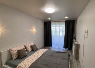 1-комнатная квартира в аренду, 35 м2, Карелия, Пуэтная улица, 1