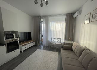 Сдаю в аренду квартиру студию, 25 м2, Санкт-Петербург, проспект Ветеранов, метро Юго-Западная