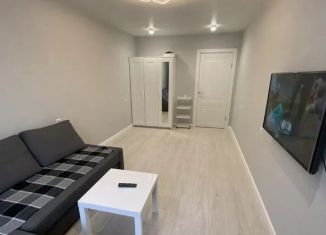 Сдам 1-комнатную квартиру, 40 м2, Республика Башкортостан, улица Фатыха Иксанова, 7