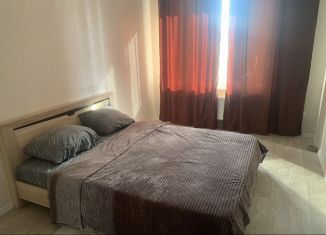 Сдается в аренду однокомнатная квартира, 51 м2, Республика Башкортостан, улица Кирова, 130