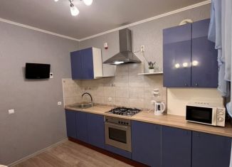 Сдается однокомнатная квартира, 34.1 м2, Калининград, улица Николая Карамзина, 36