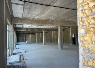 Аренда помещения свободного назначения, 370 м2, Элиста, 7-й микрорайон, 1к1