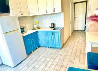 Сдам 1-комнатную квартиру, 30 м2, Сириус, улица Станиславского, 1А