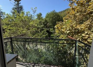 Сдается в аренду 2-комнатная квартира, 50 м2, Сочи, Береговая улица, 1А