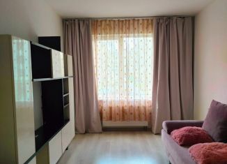 Сдам в аренду однокомнатную квартиру, 36 м2, Санкт-Петербург, улица Генерала Кравченко, 8, Красносельский район